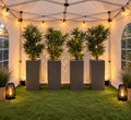 Pot design plante décorative 180cm